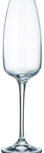 Champagner- / Sektkelch 7x25,2cm 290ml - Anser