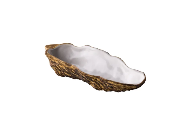Oyster Shell large